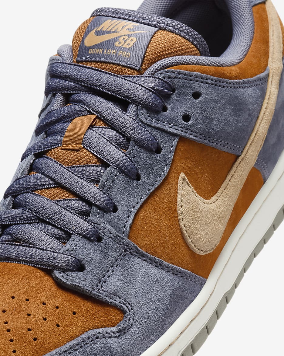 Nike SB Dunk Low Pro Skate Shoes